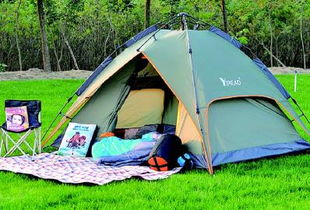 明媚春光催熱大慶踏青經(jīng)濟(jì)，戶外用品旺銷垂釣配件成亮點(diǎn)